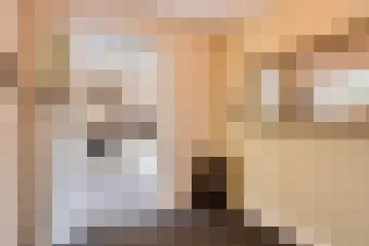 Bolhei 4 Veldhoven thumbnail 11