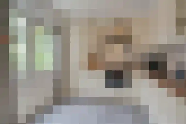 Bolhei 4 Veldhoven thumbnail 13