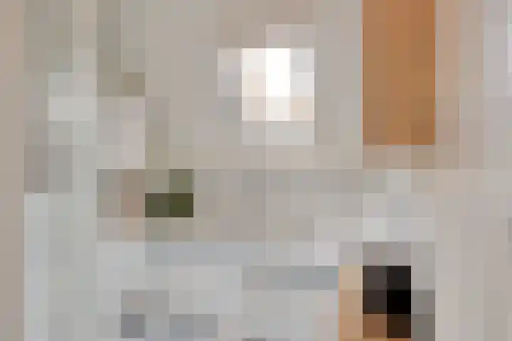Bolhei 4 Veldhoven thumbnail 24