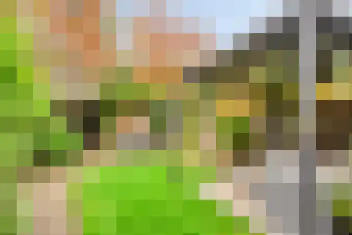 Bolhei 4 Veldhoven thumbnail 27
