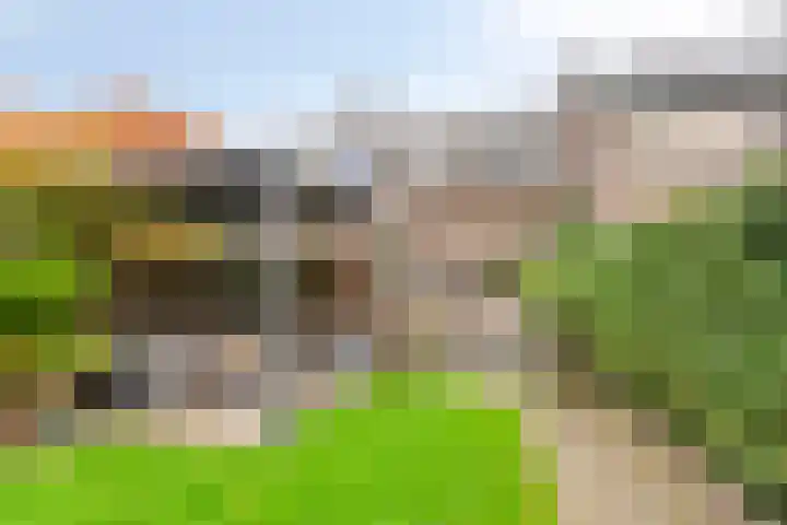 Bolhei 4 Veldhoven thumbnail 29