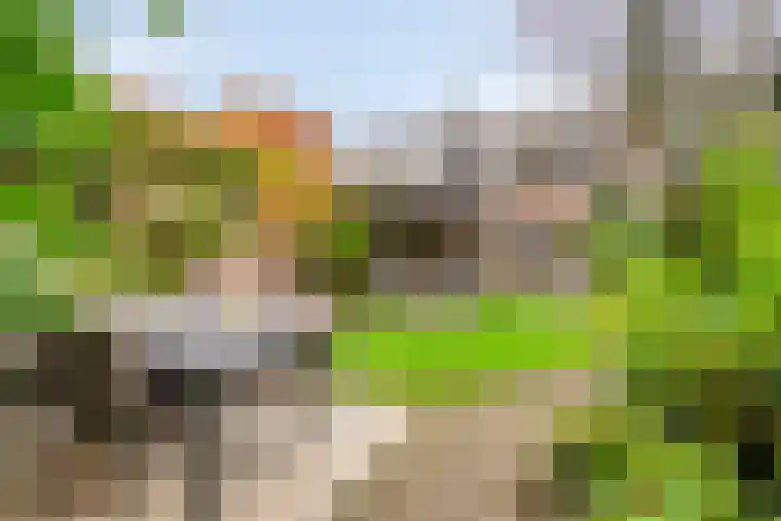 Bolhei 4 Veldhoven thumbnail 30
