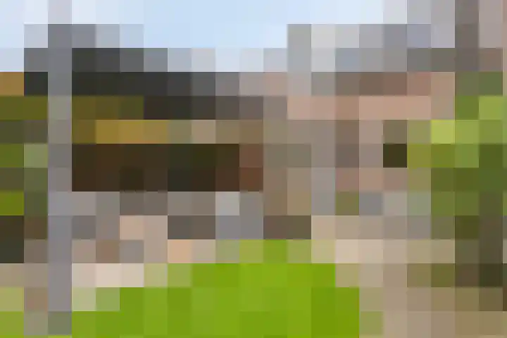 Bolhei 4 Veldhoven thumbnail 31