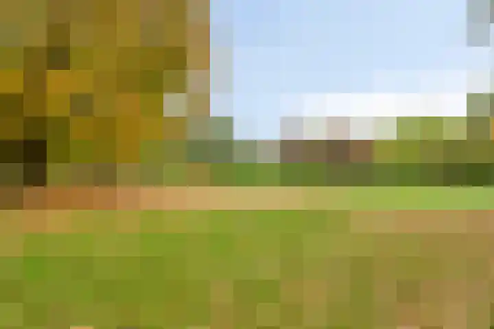 Bolhei 4 Veldhoven thumbnail 38
