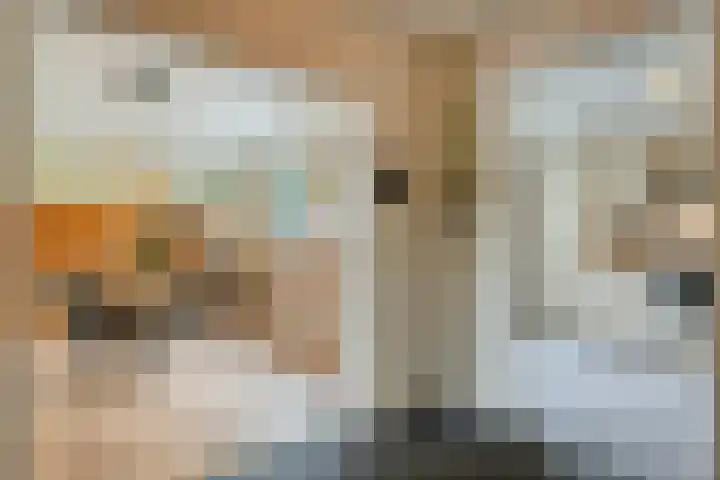 Bolhei 4 Veldhoven thumbnail 8