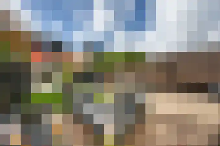 Bolivar 53 Hoofddorp thumbnail 13