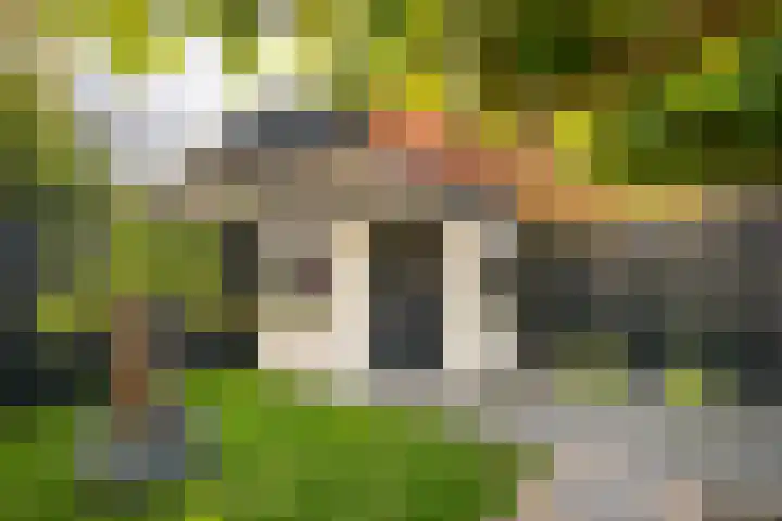 Bolivar 53 Hoofddorp thumbnail 14