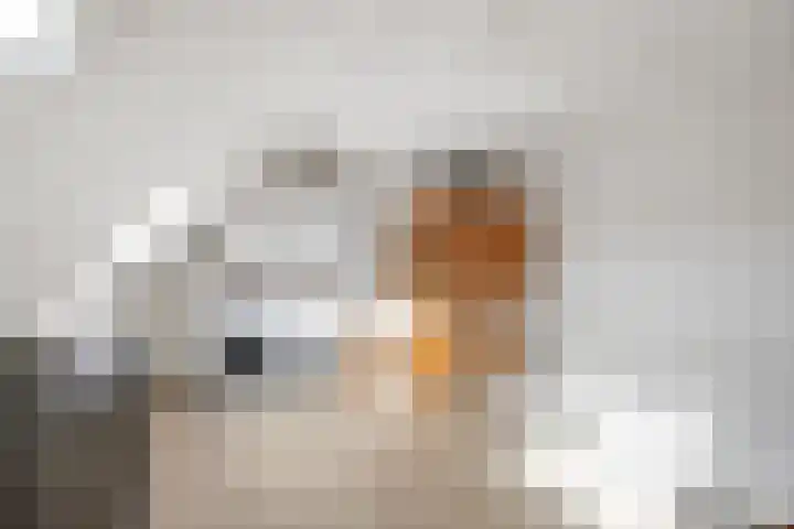Bolivar 53 Hoofddorp thumbnail 26