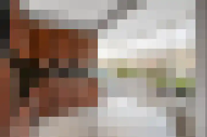 Bolivar 53 Hoofddorp thumbnail 8
