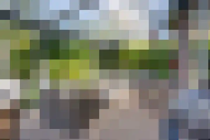 Bolivar 57 Hoofddorp thumbnail 11