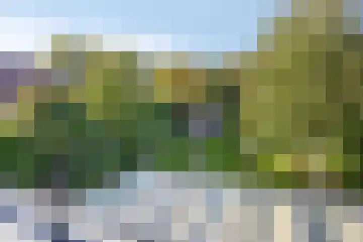Bolivar 57 Hoofddorp thumbnail 22
