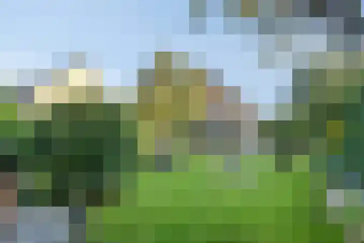 Bolivar 57 Hoofddorp thumbnail 39