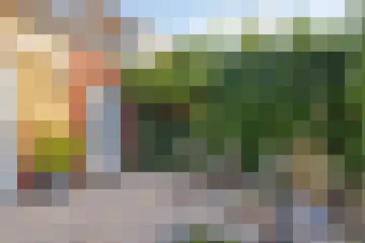 Bolivar 57 Hoofddorp thumbnail 42