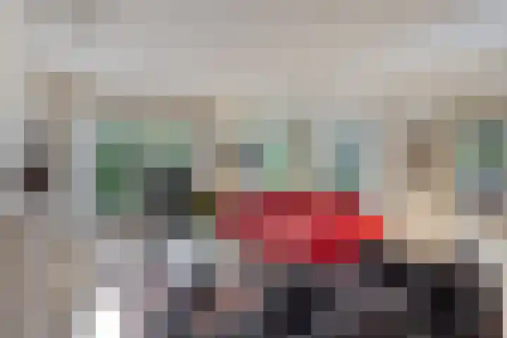 Bolivar 57 Hoofddorp thumbnail 8