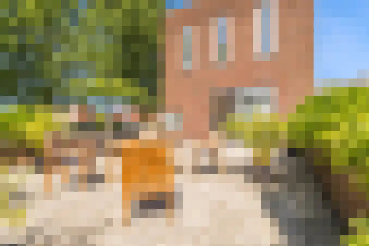 Boliviahof 1 IJsselstein thumbnail 39