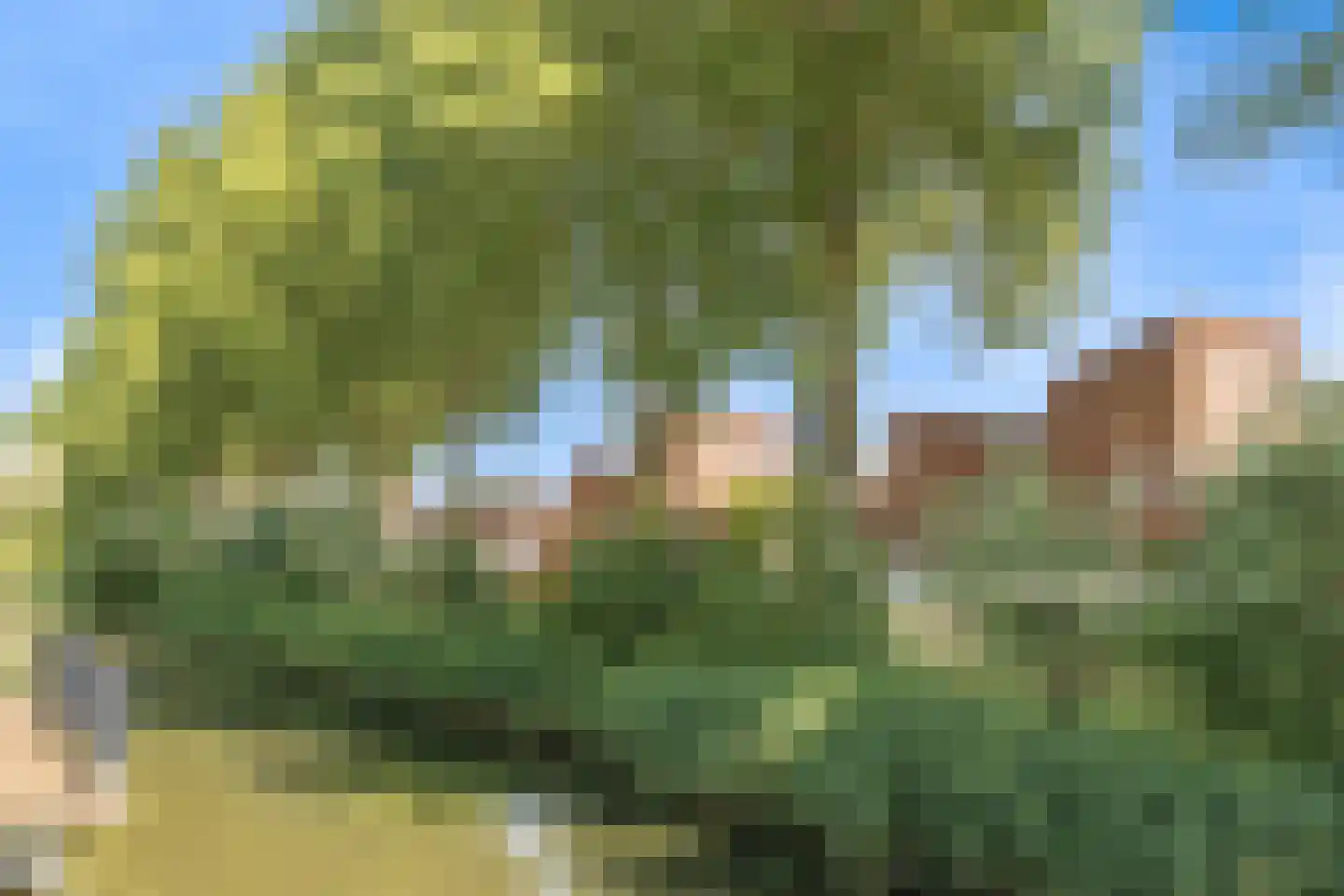 Boliviahof 1 IJsselstein thumbnail 50