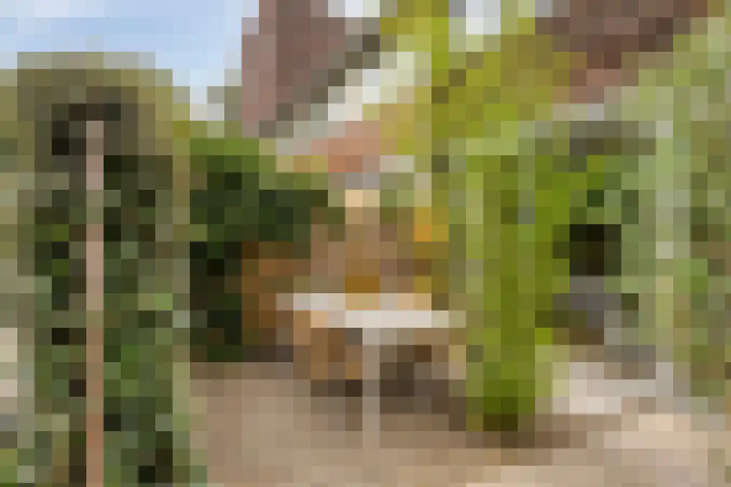 Boliviahof 8 IJsselstein thumbnail 28