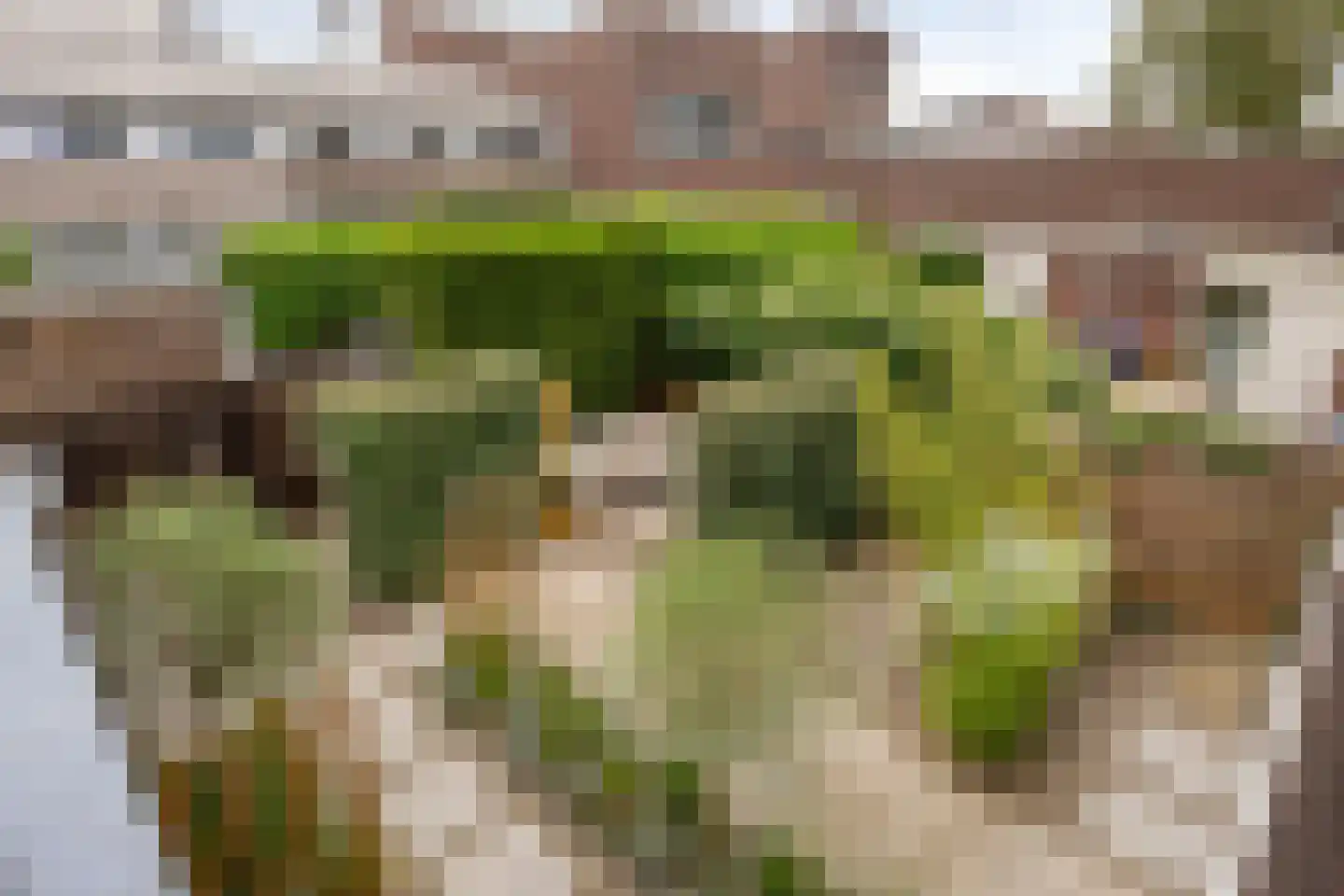 Boliviahof 8 IJsselstein thumbnail 29