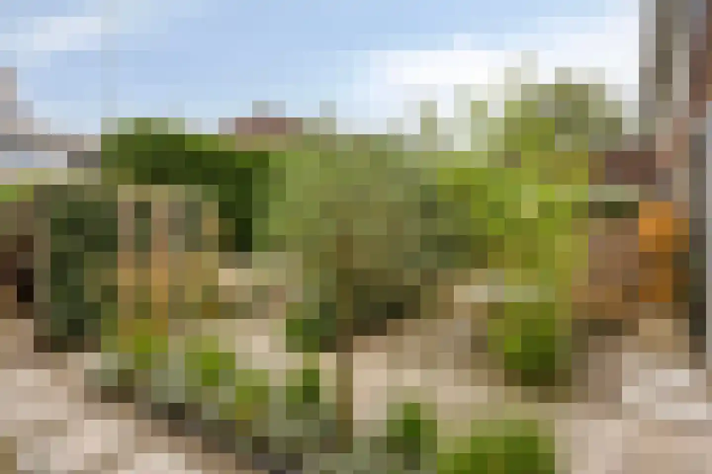 Boliviahof 8 IJsselstein thumbnail 4