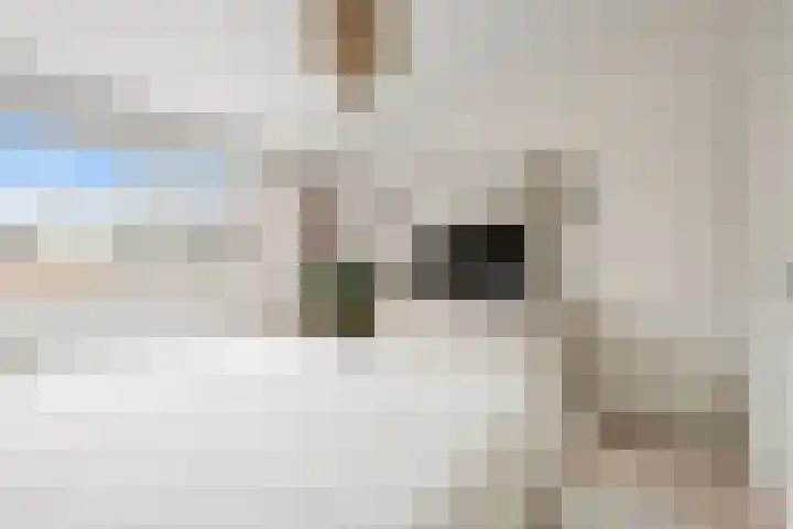 Boliviahof 9 IJsselstein thumbnail 47