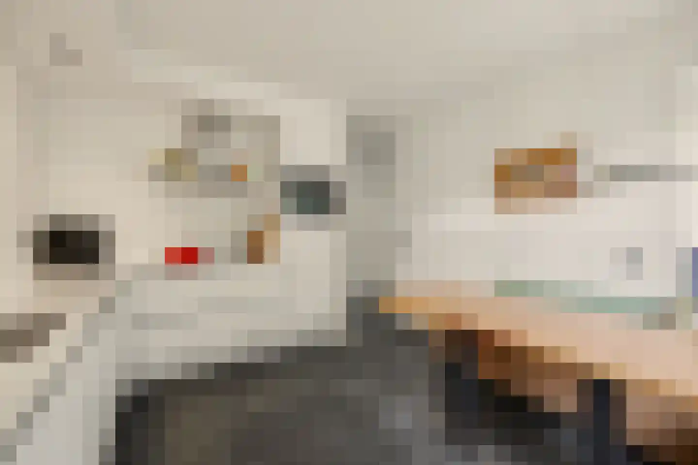 Boliviaring 14 Drunen thumbnail 13