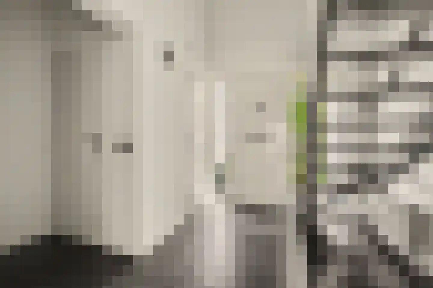 Boliviaring 14 Drunen thumbnail 15