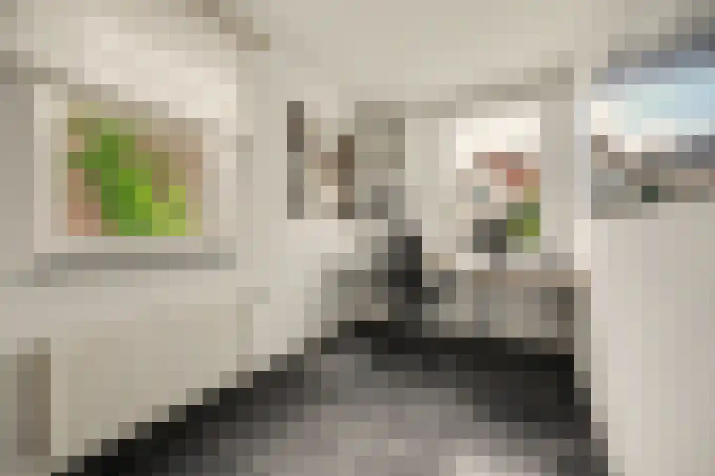 Boliviaring 14 Drunen thumbnail 16