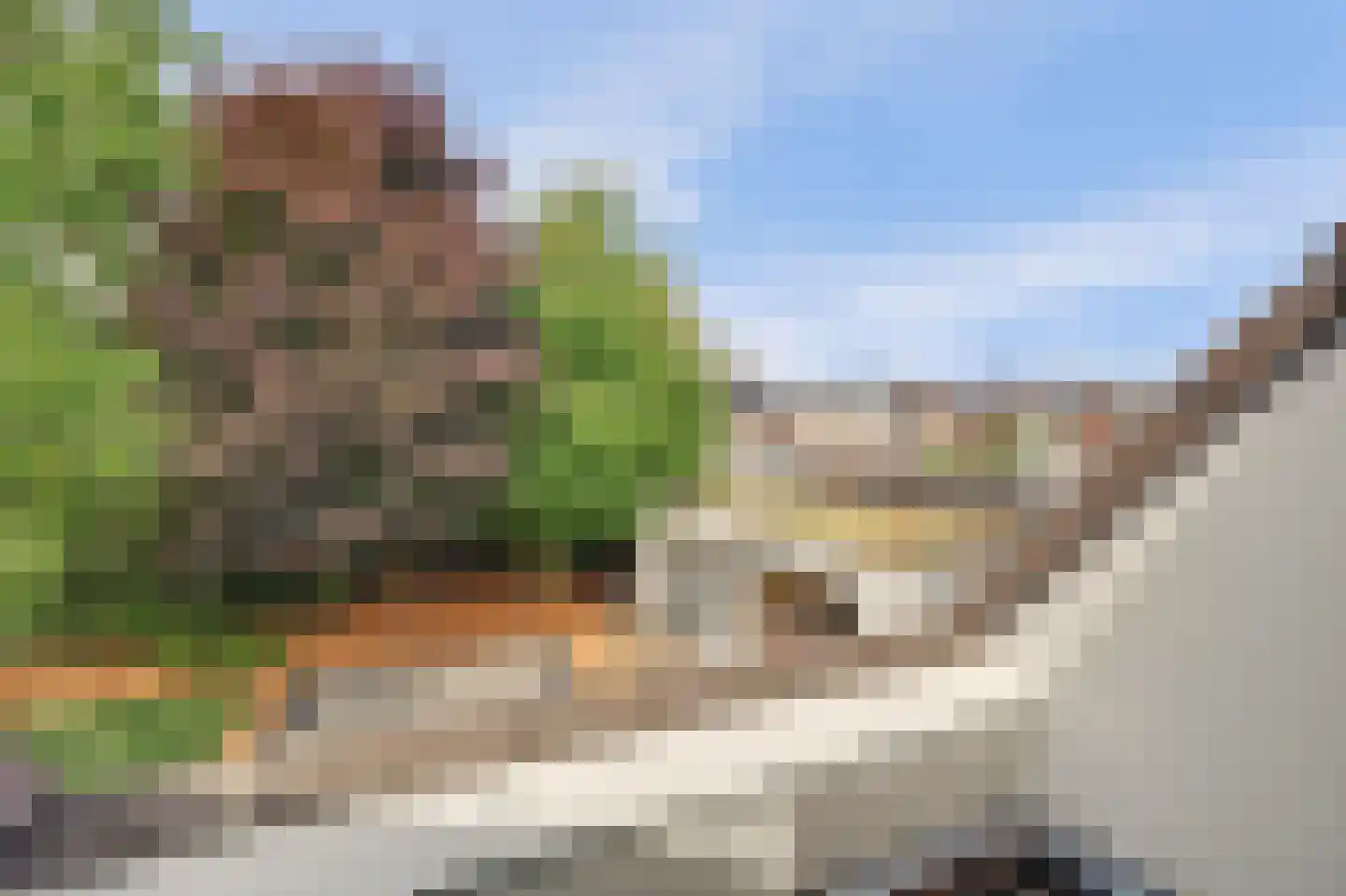 Boliviaring 14 Drunen thumbnail 22