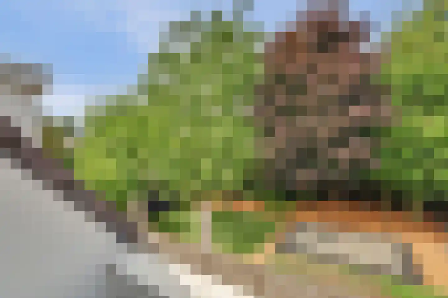 Boliviaring 14 Drunen thumbnail 23
