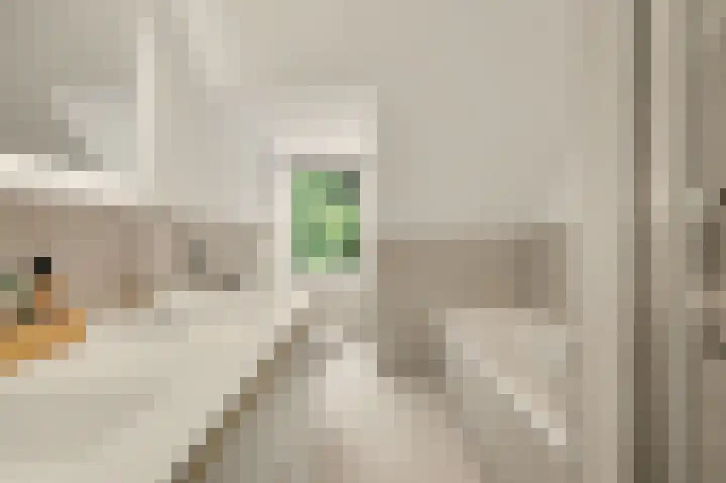 Boliviaring 14 Drunen thumbnail 24