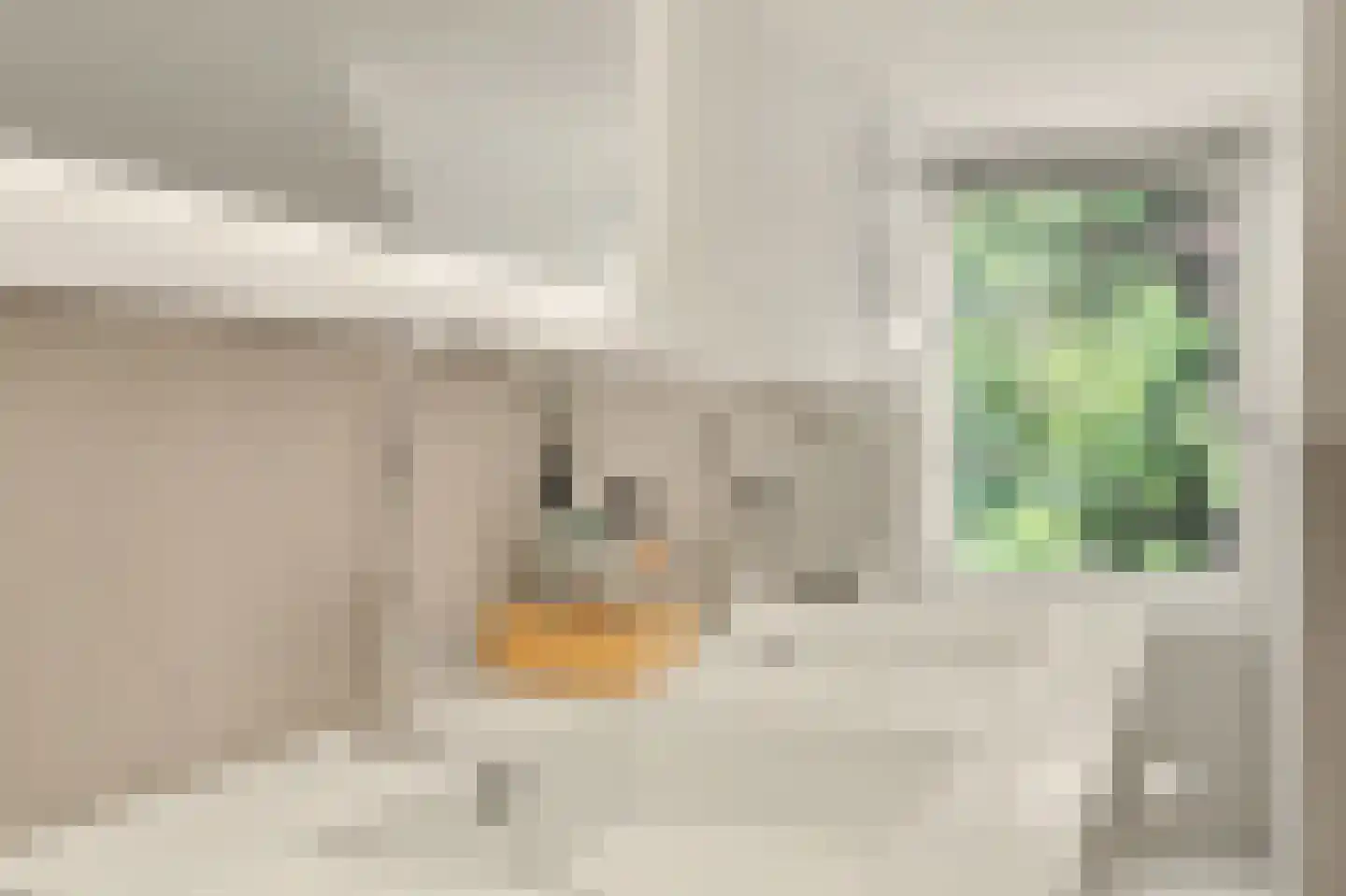 Boliviaring 14 Drunen thumbnail 27