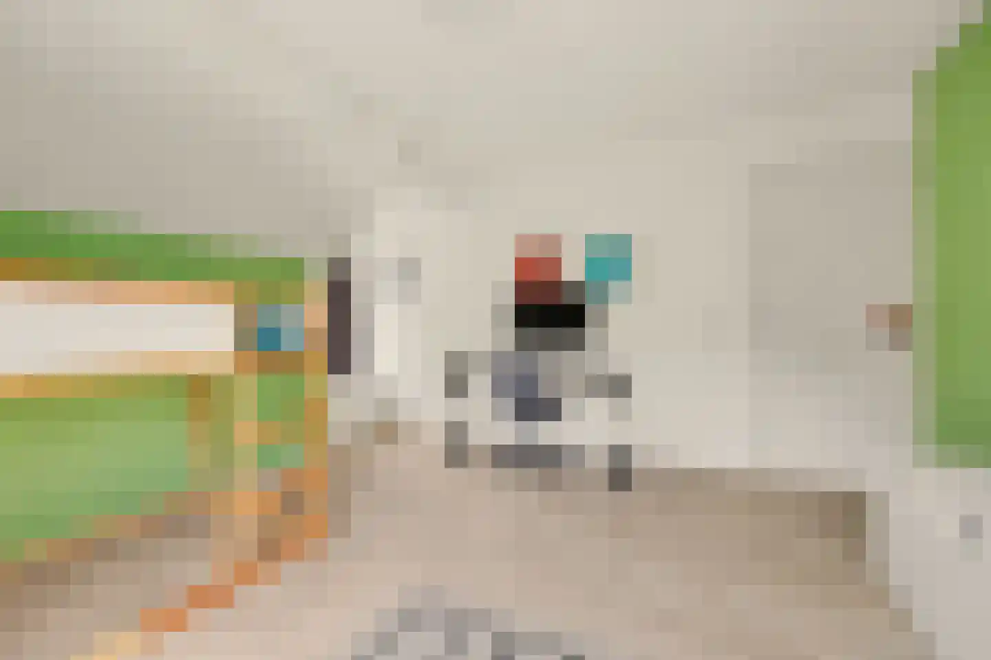 Boliviaring 14 Drunen thumbnail 29