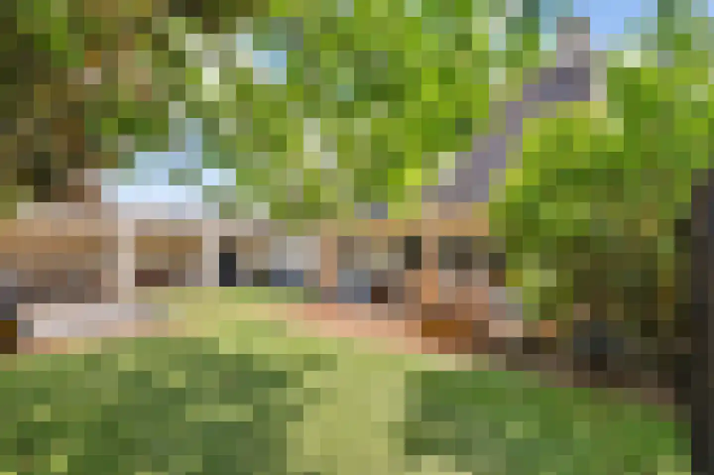 Boliviaring 14 Drunen thumbnail 42