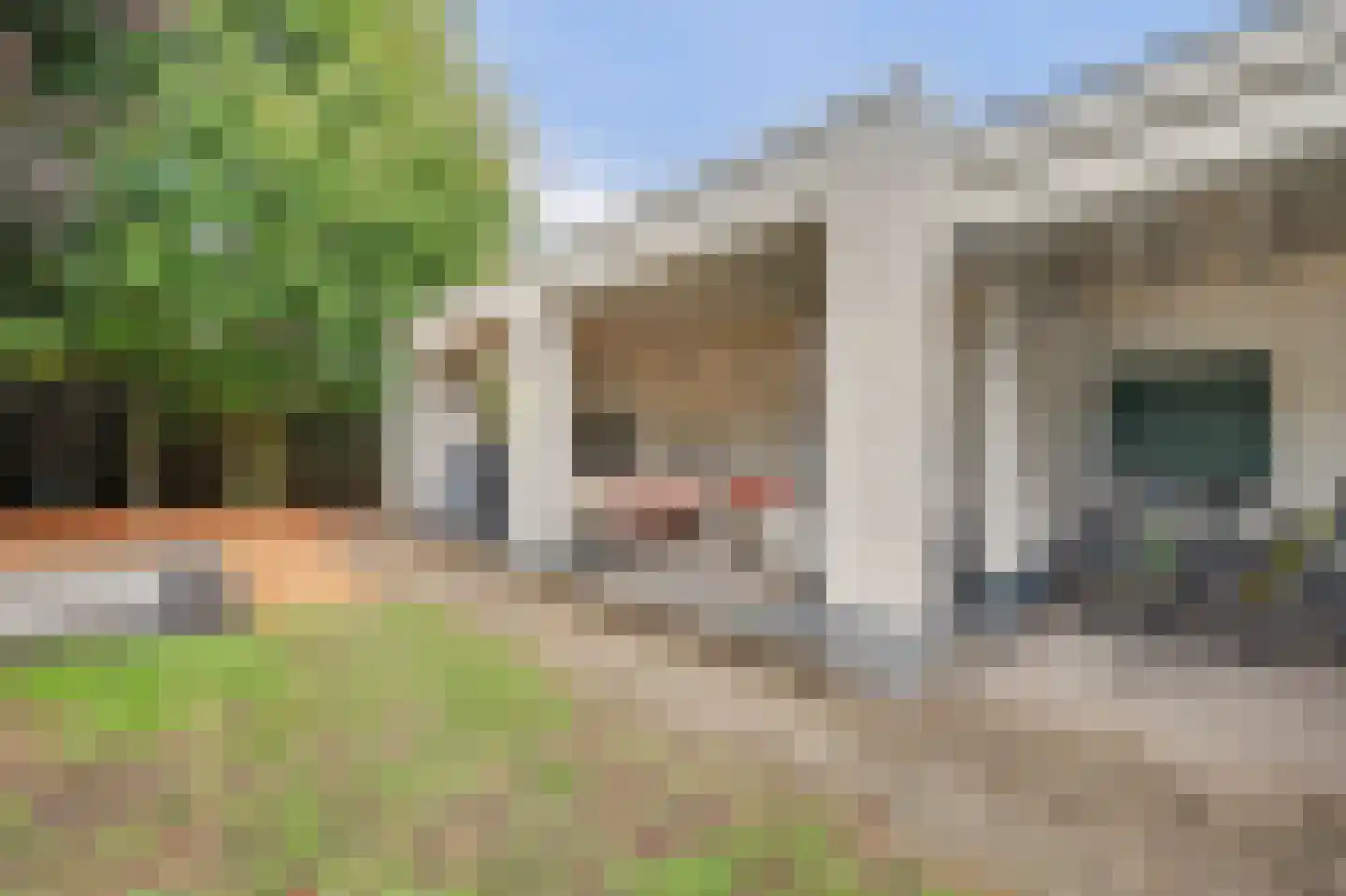 Boliviaring 14 Drunen thumbnail 44