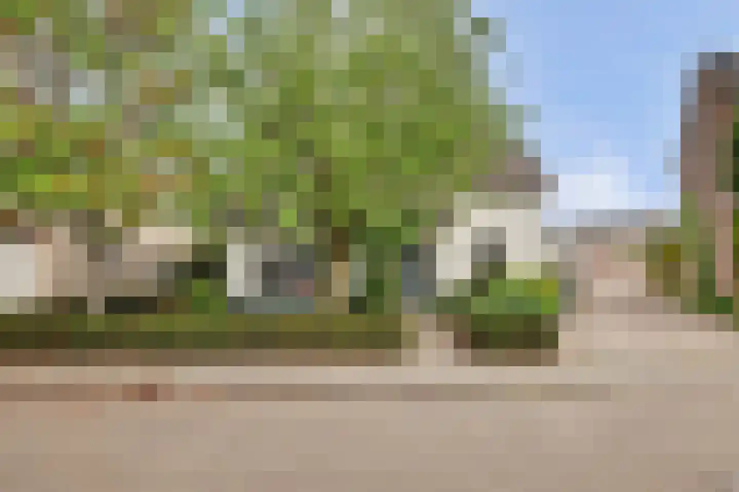 Boliviaring 14 Drunen thumbnail 52