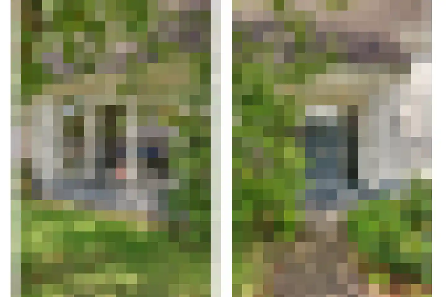 Boliviaring 14 Drunen thumbnail 53