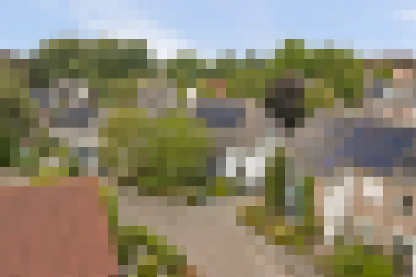 Boliviaring 14 Drunen thumbnail 55