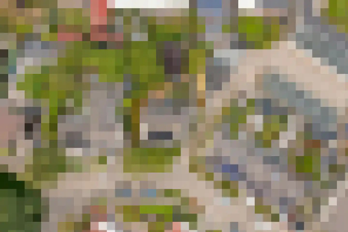 Boliviaring 14 Drunen thumbnail 57