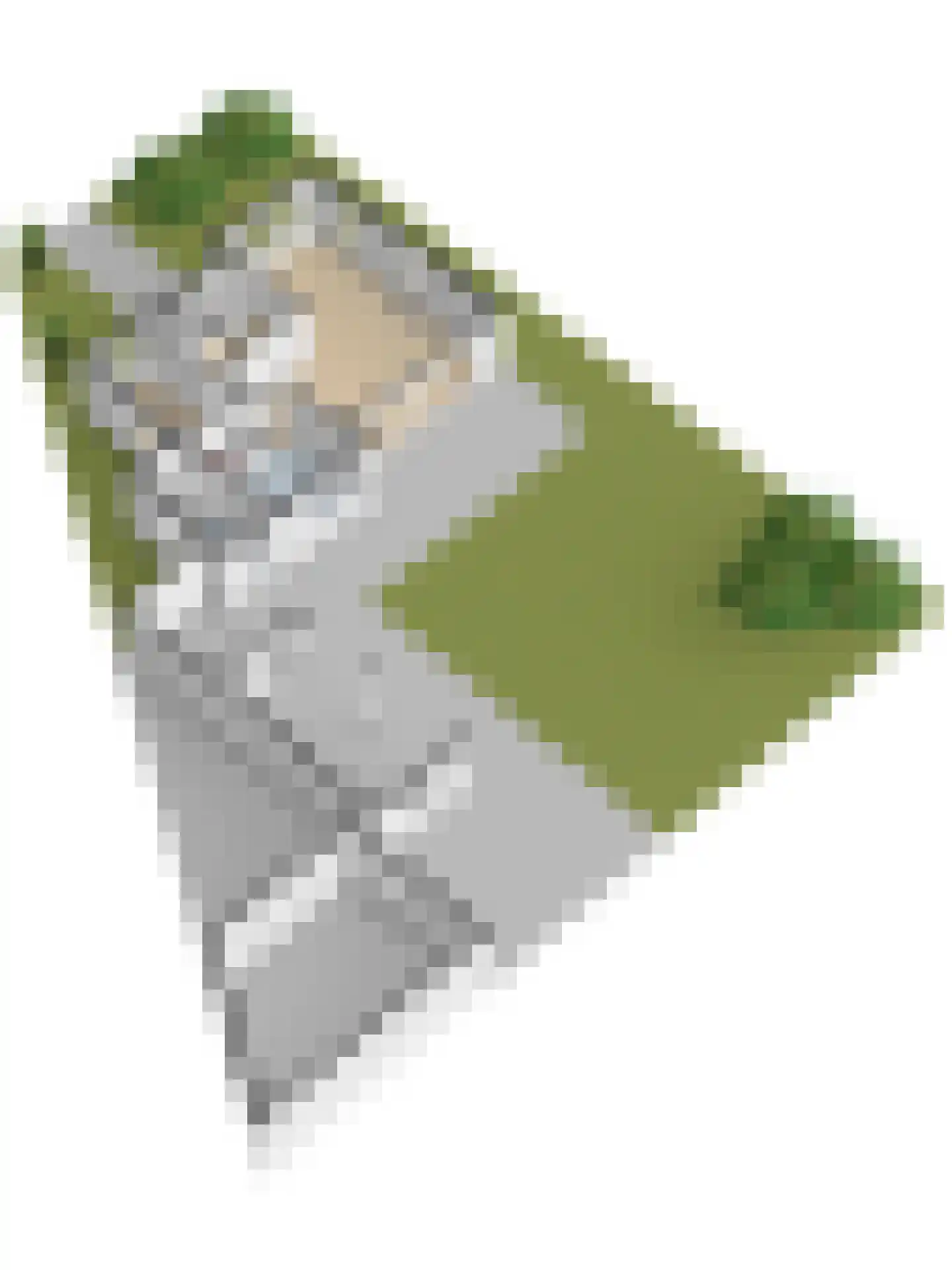 Boliviaring 14 Drunen thumbnail 63