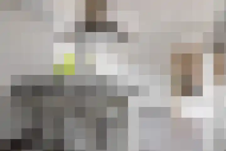 Boliviastraat 2 Alphen aan den Rijn thumbnail 10