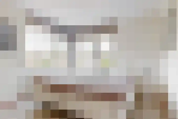 Boliviastraat 2 Alphen aan den Rijn thumbnail 11