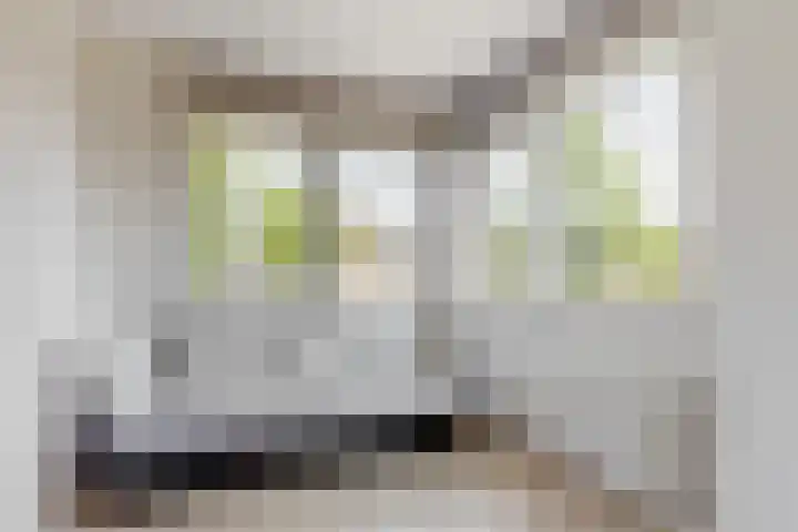 Boliviastraat 2 Alphen aan den Rijn thumbnail 13