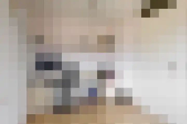 Boliviastraat 2 Alphen aan den Rijn thumbnail 14