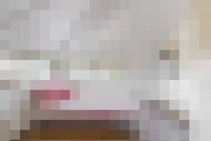 Boliviastraat 2 Alphen aan den Rijn thumbnail 18