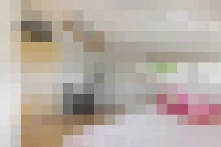 Boliviastraat 2 Alphen aan den Rijn thumbnail 19