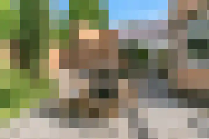 Boliviastraat 2 Alphen aan den Rijn thumbnail 22