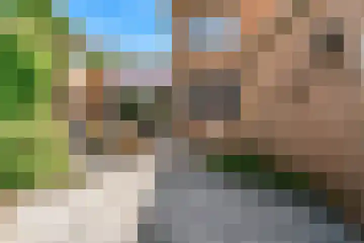 Boliviastraat 2 Alphen aan den Rijn thumbnail 5