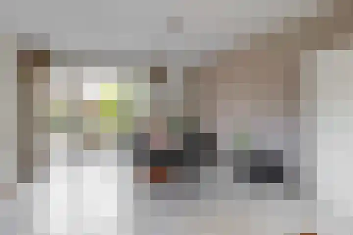 Boliviastraat 2 Alphen aan den Rijn thumbnail 7