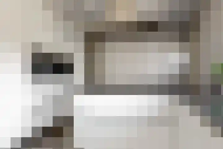 Boliviastraat 2 Alphen aan den Rijn thumbnail 8