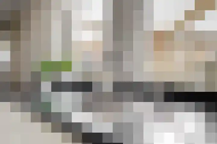 Boliviastraat 2 Alphen aan den Rijn thumbnail 9